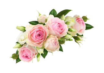 Floral corner arrangement with pink roses and eustoma flowers isolated on white or transparent background