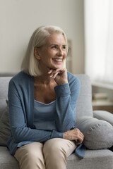 Obraz premium Happy pretty old mature woman relaxing on home couch, leaning chin on hand, looking away in good thoughts, thinking, daydreaming, smiling, laughing. Vertical shot portrait