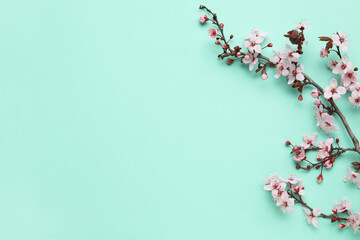 Blooming branches on mint background