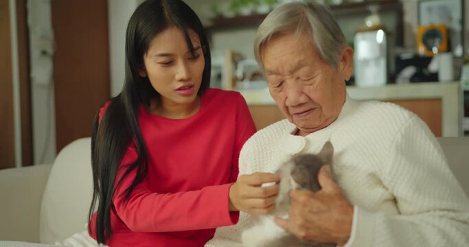Senior asian woman holding cat in hand at living room with young woman. They playing with cat while sitting on sofa at home. Animal, Love, Happiness, Relaxation and Lifestyle concept.