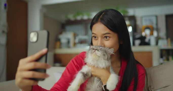 Beautiful asian woman using phone and holds pet cat using smartphone for video call, gesturing hi to friends, relatives or parents. Smiling young woman making video call, video at kitchen home.