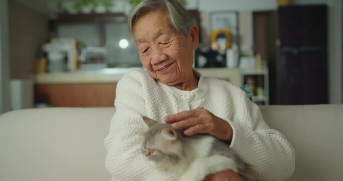 Senior asian woman holding cat in hand at home. She playing cat with smiling while sitting at living room. Lifestyle, Enjoyment, Happiness, Relaxation, Animal and Friendship concept.