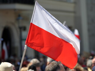 National flag of Poland waves during street demonstration, crowd of blurred people