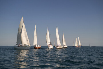 Fototapeta premium Sailing yacht regatta. Many sailing yachts in a row. sailing yachts under gennaker, speaker, genoa