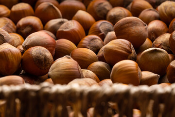 Hazelnuts. Food background, photo wallpaper. Photo of hazelnut. Hazelnut nut health organic brown filbert background concept. Food background. Hazelnut close-up.
