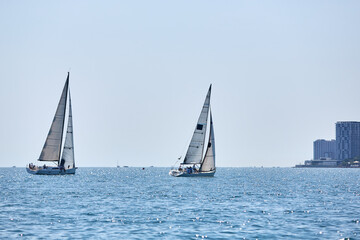 Sailing yacht regatta. Many sailing yachts in a row. sailing yachts under gennaker, speaker, genoa