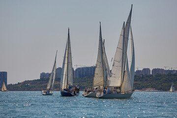Obraz na płótnie Canvas Sailing yacht regatta. Many sailing yachts in a row. sailing yachts under gennaker, speaker, genoa