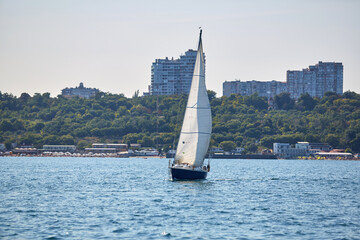 Sailing yacht regatta. Many sailing yachts in a row. sailing yachts under gennaker, speaker, genoa
