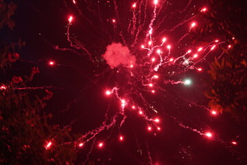 fireworks in the night sky