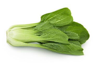 Fresh pak choi cabbage isolated on white background with full depth of field