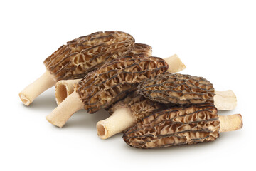 raw morel mushroom isolated on white background with full depth of field