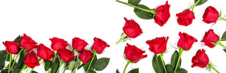 beautiful red rose with leaves isolated on white background with copy space for your text. Top view. Flat lay pattern