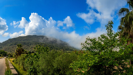 Fototapeta na wymiar Between Valldemossa and Deia on the Island of Mallorca, a road under clouds with palm trees and mountains, Serra de Tramuntana Mountains, Cloudy but blue sky and a beautiful summer day, travel vibes 