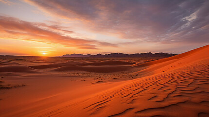 Desert in the background of a beautiful sunset.