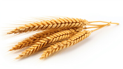 Ears of wheat on a white background for your design. Generative Ai. 