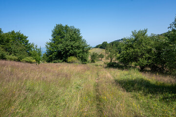 Landscape of Erul mountain near Kamenititsa peak, Bulgaria