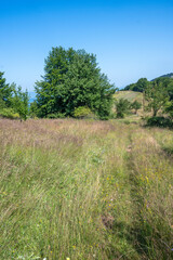 Landscape of Erul mountain near Kamenititsa peak, Bulgaria