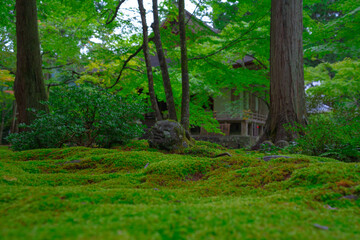 三千院