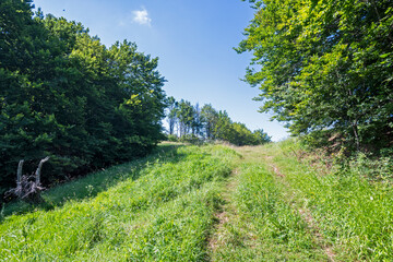 Landscape of Erul mountain near Kamenititsa peak, Bulgaria