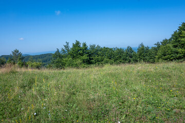 Landscape of Erul mountain near Kamenititsa peak, Bulgaria