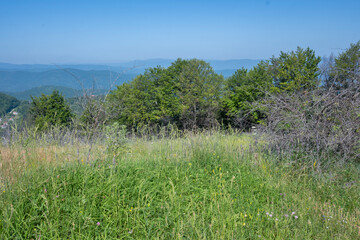 Landscape of Erul mountain near Kamenititsa peak, Bulgaria