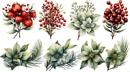 colorful christmas floral arrangement in watercolor clipart design isolated against transparent background