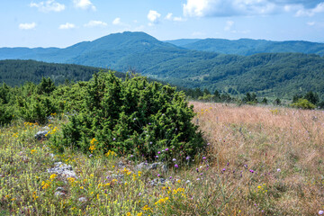 Landscape of Erul mountain near Kamenititsa peak, Bulgaria