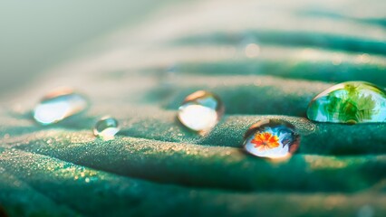 Green leaf with water drops. Reflection of a flower in a drop of water