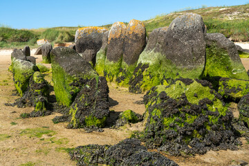 Dolmen von Guinirvit an der Baie von Kernic, Plouescat, Bretagne
