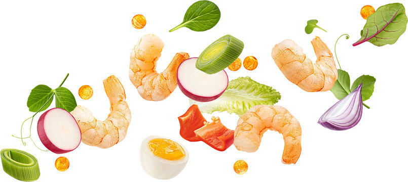 Falling shrimp salad ingredients isolated 
