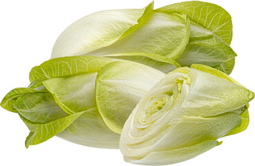 Fresh endive, green chicory salad isolated