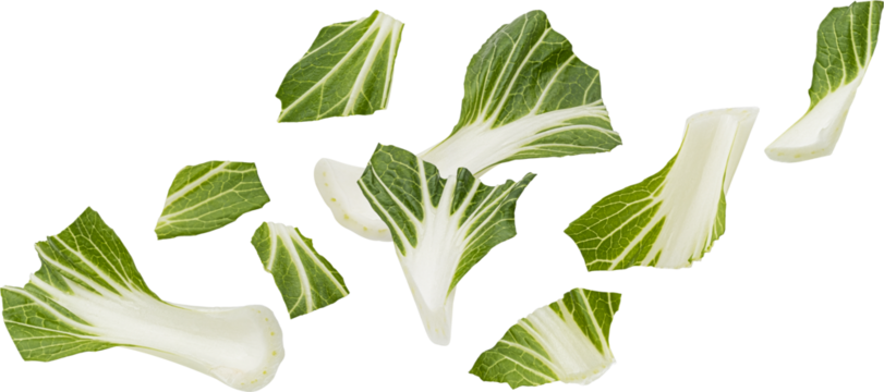 Falling Bok Choy or Pak Choi leaves isolated