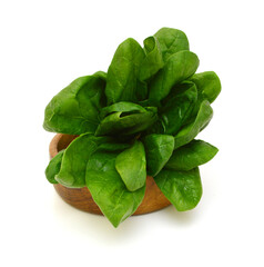 Fresh leaves of spinach on white