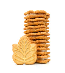 Vanilla sandwich creme cookies on white background 