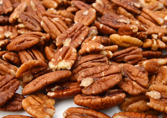 Pecans isolated on white background