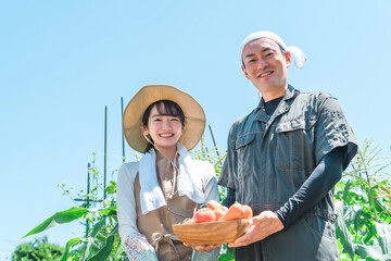 農業・農家・家庭菜園をするアジア人男女（野菜）
