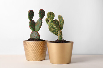Beautiful cacti in pots on beige table