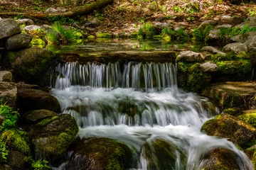 Tuinposter Fern Spring and waterfall near Southside Drive in Yosemite Valley, Yosemite National Park, California, USA in May of 2023  © Aaron J Hill
