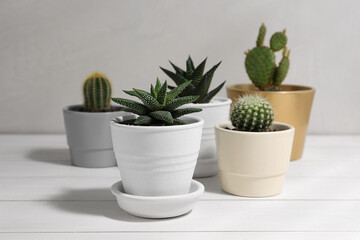 Many different succulent plants in pots on white wooden table
