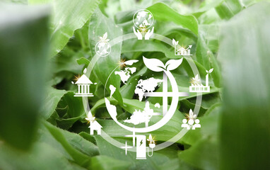 Obraz premium CO2 Net-Zero Emission Concept Carbon neutral and net zero and search for Net zero and various icons will come out. 