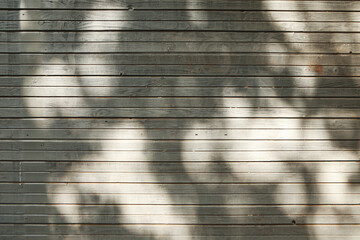 Solid concrete wall textured backdrop