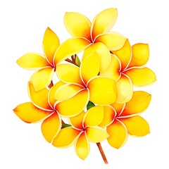 Obraz na płótnie Canvas watercolor of plumeria flower on white background