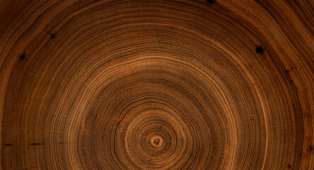 Fototapeta na wymiar Detailed rich dark brown wood tree with circle growth rings pattern