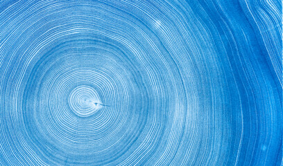 Detailed blue texutred wood tree with circle growth rings pattern