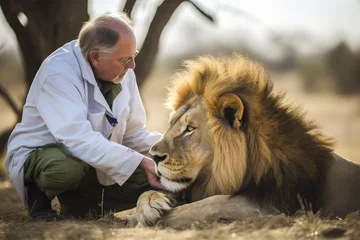 Fototapeten Zoo veterinary inspecting a lion © MVProductions