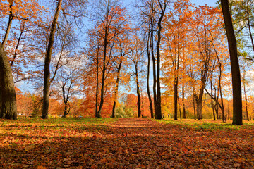 Autumn park landscape . Golden autumn in the city park. Photos on the calendar. Season. September, October, November