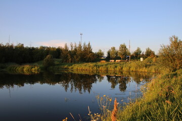 reflection of trees in the water