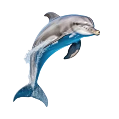 Schilderijen op glas A dolphin is jumping out of the water. Isolated on white. Transparent PNG. Generative AI © byarnoldus