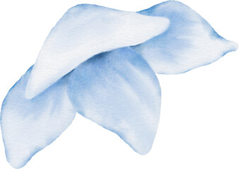 Flower Watercolor Element