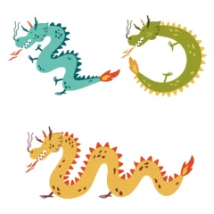 Stof per meter Draak Chinese new year 2024 the dragon zodiac sign set